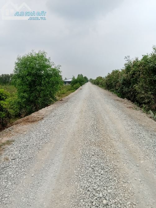 Bán đất mặt tiền kênh 2 , xã Tân Thành huyện Thủ Thừa, Long An - 3