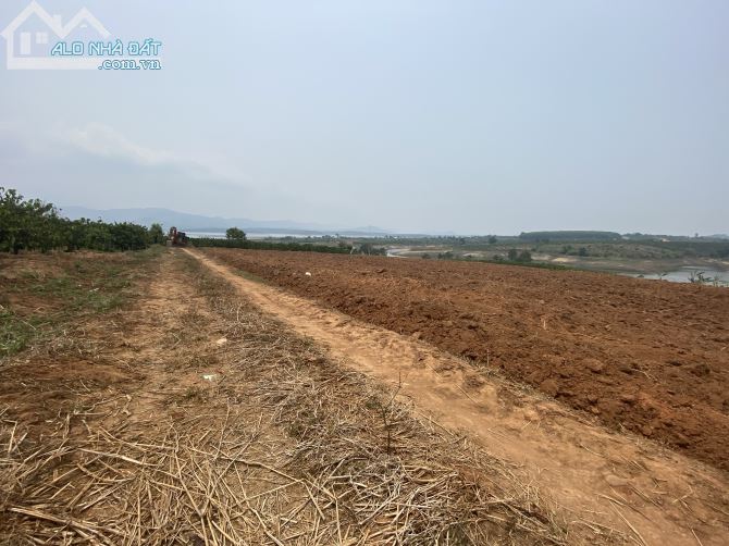CẦN TIỀN GẤP BÁN LÔ ĐẤT VIEW HỒ 2000m2 CHỈ 250 TRIỆU - 3