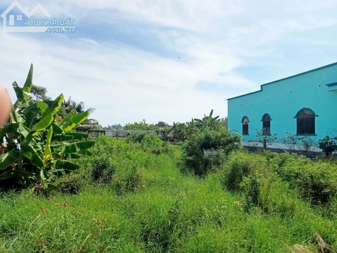 cần bán đất Thị trấn cần thạnh cần giờ TP HCM.DT ngang 7x38=277m.thô cu - 5