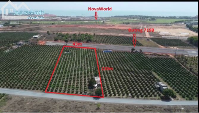 Bán lô đất 2 mặt tiền đường 719B, sát cạnh NovaWorld Tiến Thành, Phan Thiết