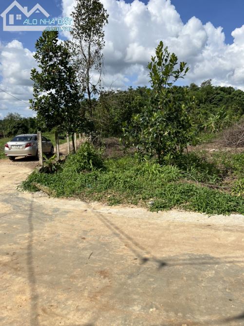 Bán đất đường tỉnh lộ 2 huyện krong ana daklak 10x31 thổ cư giá 399 triệu - 1
