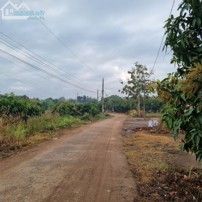 KHU DÂN CƯ CÁCH QUỐC LỘ 20 CHỈ 700M 1000M2(16MX58M) KẾ BÊN TRƯỜNG HỌC CHỢ CHỈ 700TR - 2