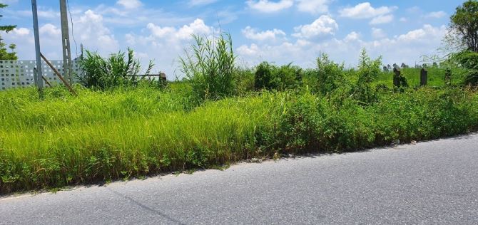 Cty cần bán 4 ha đất sxkd có sổ đỏ, san lấp, 2 mặt đường,sát KCN Thăng LongII, 2,4tr/m2 - 6