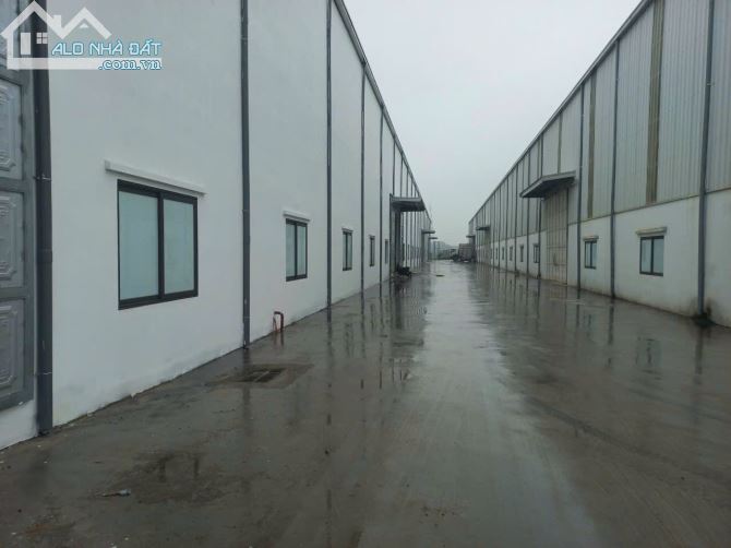 Cho thuê 9.000m2 Kho, Xưởng tại Xã Chỉ Đạo , huyện Văn Lâm, tỉnh Hưng Yên.