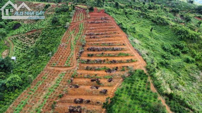Bán đất MẶT TIỀN ĐƯỜNG NHỰA XÃ DAK SOM, HUYỆN DAK GLONG, CÁCH TRUNG TÂM TÀ ĐÙNG 4km