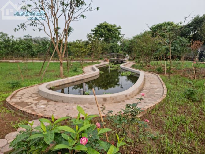 Cần bán 4000m2 mặt sông Hồng-Phường Tứ Liên-Tây Hồ-Hà Nội view sông 50m