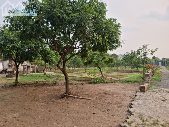 Cần bán 4000m2 mặt sông Hồng-Phường Tứ Liên-Tây Hồ-Hà Nội view sông 50m - 6