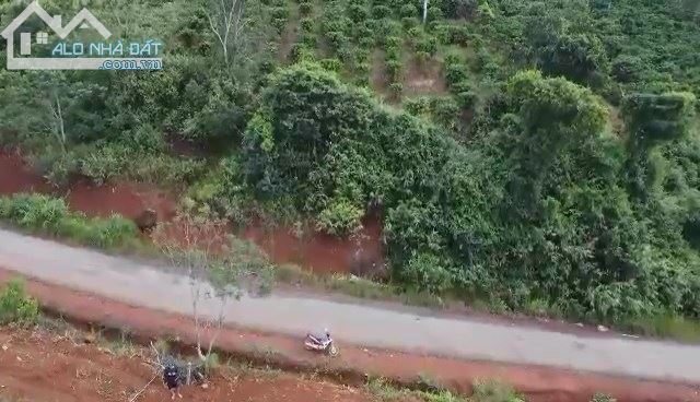 Bán đất MẶT TIỀN ĐƯỜNG NHỰA XÃ DAK SOM, HUYỆN DAK GLONG, CÁCH TRUNG TÂM TÀ ĐÙNG 4km - 1