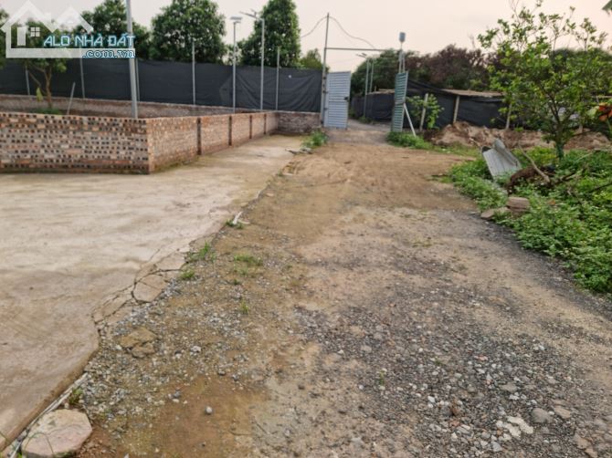 Cần bán 4000m2 mặt sông Hồng-Phường Tứ Liên-Tây Hồ-Hà Nội view sông 50m - 1