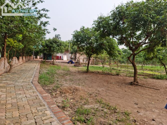 Cần bán 4000m2 mặt sông Hồng-Phường Tứ Liên-Tây Hồ-Hà Nội view sông 50m - 7