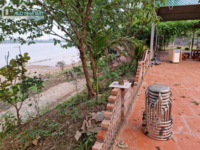 Cần bán 4000m2 mặt sông Hồng-Phường Tứ Liên-Tây Hồ-Hà Nội view sông 50m - 8