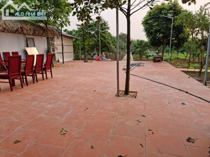 Cần bán 4000m2 mặt sông Hồng-Phường Tứ Liên-Tây Hồ-Hà Nội view sông 50m - 3
