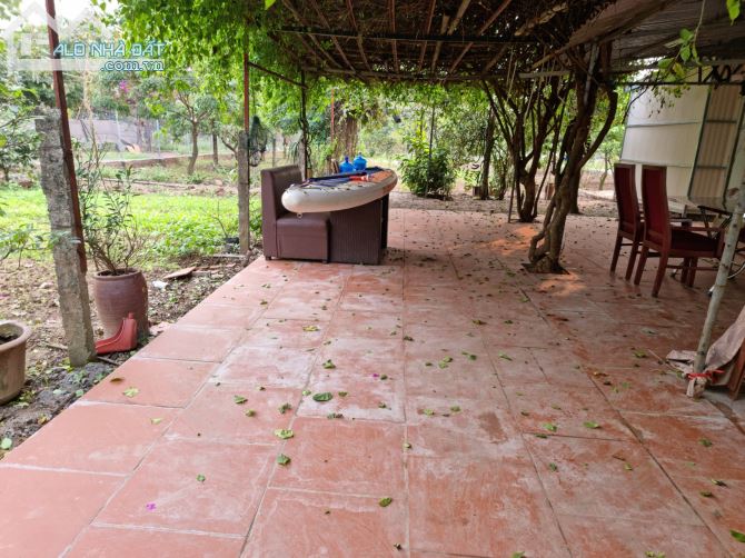 Cần bán 4000m2 mặt sông Hồng-Phường Tứ Liên-Tây Hồ-Hà Nội view sông 50m - 9