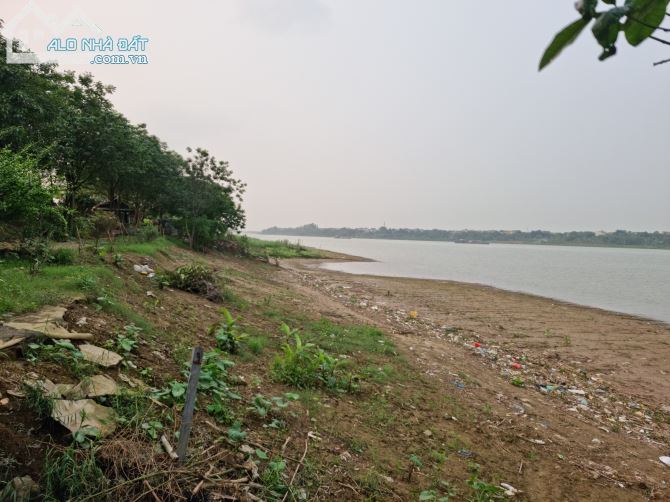 Cần bán 4000m2 mặt sông Hồng-Phường Tứ Liên-Tây Hồ-Hà Nội view sông 50m - 10