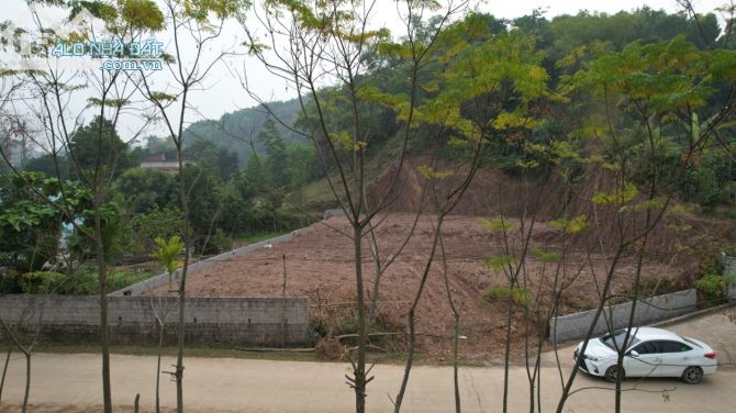 CHÍNH CHỦ BÁN 1000m TẠI THANH SƠN, LƯƠNG SƠN - 3