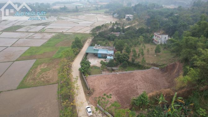 CHÍNH CHỦ BÁN 1000m TẠI THANH SƠN, LƯƠNG SƠN - 5