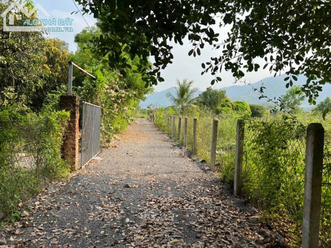 Bán đất suối tiên - diên khánh 1229m2 ngang 44m giá bán 2,8tr/m2 - 1