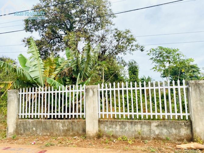 💥Đất TC 5*40m,hẻm cấp 1,Tỉnh Lộ 8,Hà Huy Tập nối dài,nhiều lô khác - 3