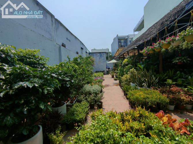 LÔ ĐẤT MẶT TIỀN LÊ THANH NGHỊ- ĐỐI DIỆN CHỢ HOÀ CƯỜNG-KINH DOANH BUÔN BÁN SẦM UẤT. - 1