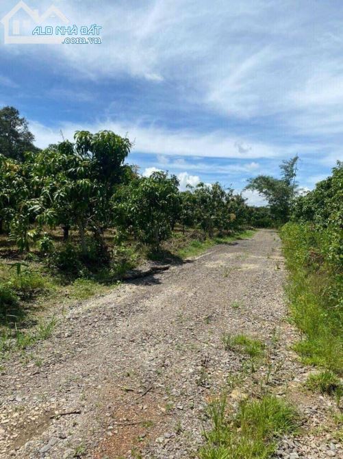 CẦN BÁN 9700M2 CÓ 70M MẶT TIỀN ĐƯỜNG HIỆN THỊ KHU DÂN CƯ GẦN SÔNG CHỈ 2TY3 - 2