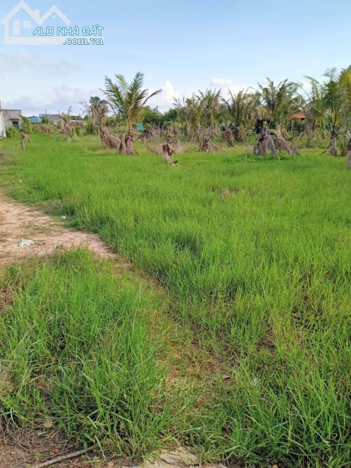 Bán Đất Mặt Tiền Đường Dẫn Hàm Kiệm - Tiến Thành về Dự án NOVAWORLD Phan Thiết - 1