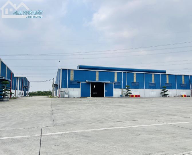 Cho thuê 3000m2 nhà xưởng có PCCC tự động