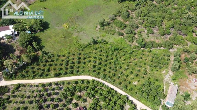 HÀNG HIẾM 9143M2 ,CÓ 300M2 THỔ CƯ ,130M MẶT TIỀN BÊ TÔNG KHU DÂN CƯ CHỈ 5TY5