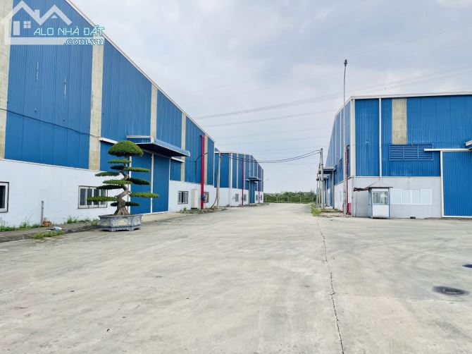 Cho thuê 3000m2 nhà xưởng có PCCC tự động - 1