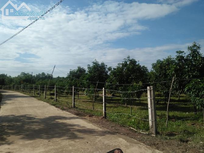 HÀNG HIẾM 9143M2 ,CÓ 300M2 THỔ CƯ ,130M MẶT TIỀN BÊ TÔNG KHU DÂN CƯ CHỈ 5TY5 - 1