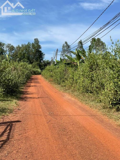 50,000m2(5ha) vườn trái cây ( SẦU RIÊNG +BƠ+MÍT+BƯỞI....) gần KHU CÔNG NGHIỆP chỉ 3ty6/ha - 3