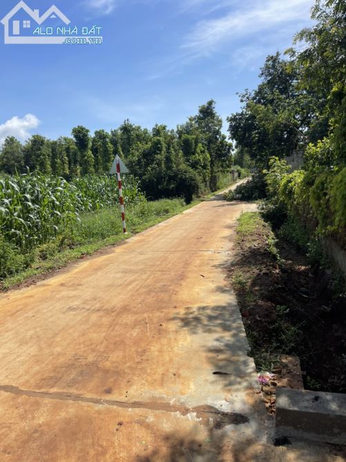 bán đất thôn quỳnh ngọc huyện krong ana daklak 10,4x30 thổ cư giá 300 triệu - 3