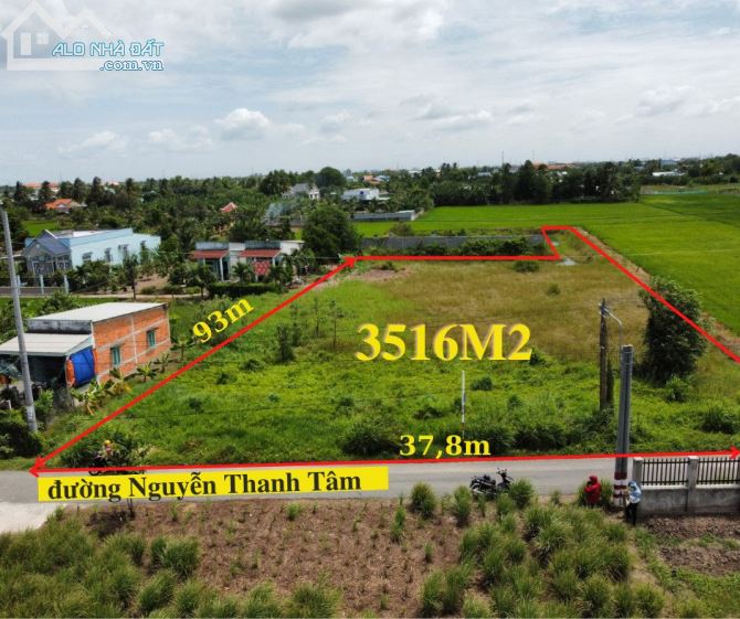 Cần bán hơn 3500m2 đất lúa mặt tiền đường nhựa Nguyễn Thanh Tâm, TT Cần Giuộc