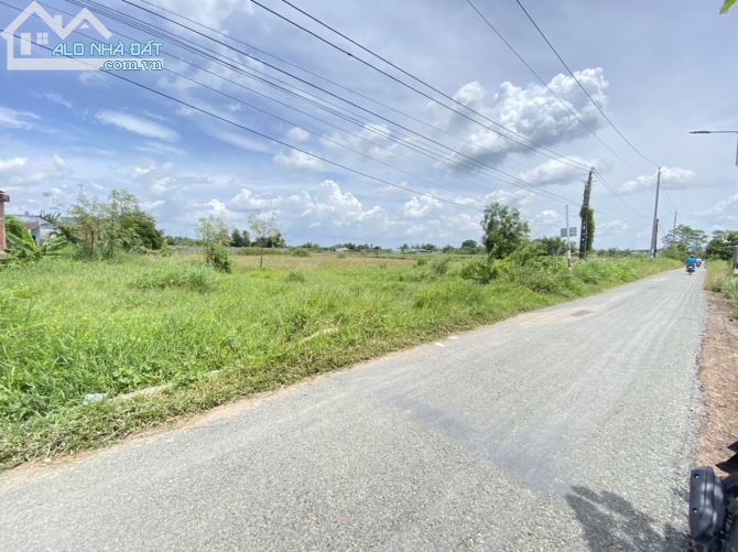 Cần bán hơn 3500m2 đất lúa mặt tiền đường nhựa Nguyễn Thanh Tâm, TT Cần Giuộc - 3