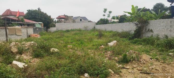 Bán lô đất 258m2 tại tống phan phù cừ hưng yên - 1