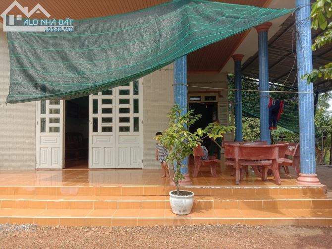 60M MẶT TIỀN HỒ TRỊ AN + NHÀ CẤP 4 + VƯỜN CÂY ĂN TRÁI 7000M2 THIÊN ĐƯỜNG NGHĨ DƯỠNG 10TỶ - 2