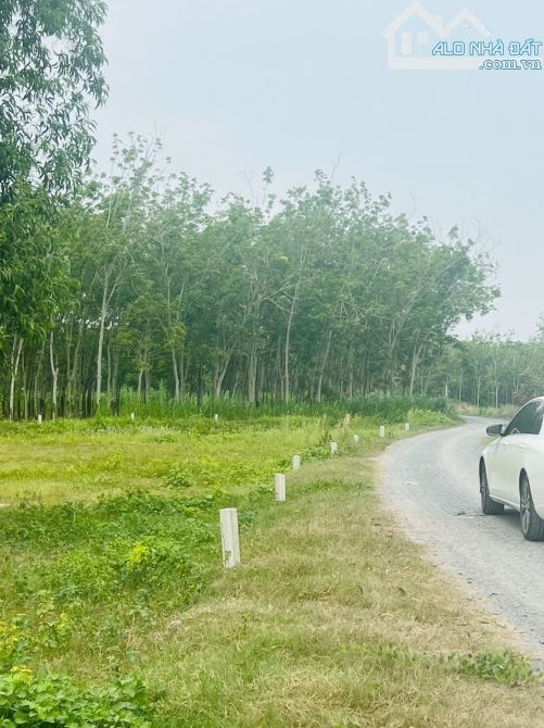 ❌CHỈ 650 TRIỆU CÓ NGAY 300M2 ĐƯỜNG NHỰA GẦN KCN HIỆP THÀNH TÂY NINH Ô TÔ ĐẾN NƠI