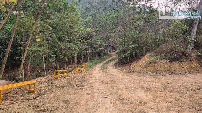 Cần bán 3,6ha đất RSX suối chảy quanh tại xã Cao Sơn, Huyện Lương Sơn, Hòa Bình. - 10