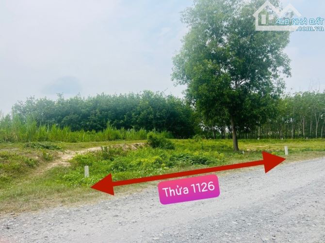 ❌CHỈ 650 TRIỆU CÓ NGAY 300M2 ĐƯỜNG NHỰA GẦN KCN HIỆP THÀNH TÂY NINH Ô TÔ ĐẾN NƠI - 1