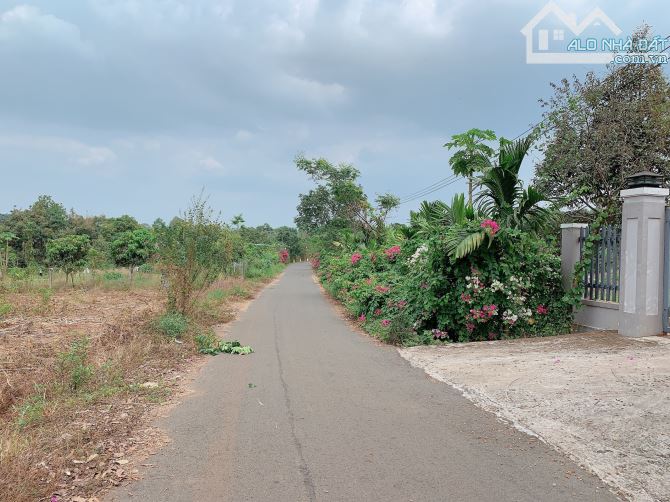 Bán khoảng 4 sào 3 (4280m2) đất Láng Lớn, huyện Châu Đức, BRVT. - 1