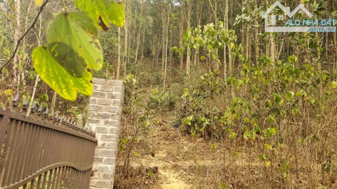 Cần bán 3,6ha đất RSX suối chảy quanh tại xã Cao Sơn, Huyện Lương Sơn, Hòa Bình. - 1