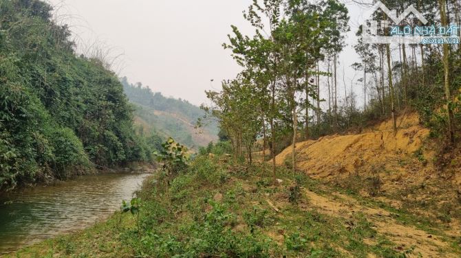 Cần bán 3,6ha đất RSX suối chảy quanh tại xã Cao Sơn, Huyện Lương Sơn, Hòa Bình. - 14