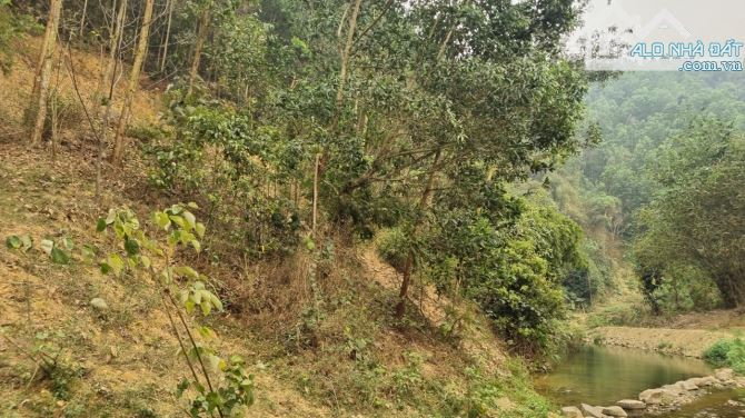 Cần bán 3,6ha đất RSX suối chảy quanh tại xã Cao Sơn, Huyện Lương Sơn, Hòa Bình. - 15
