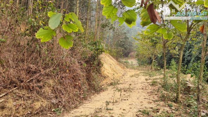 Cần bán 3,6ha đất RSX suối chảy quanh tại xã Cao Sơn, Huyện Lương Sơn, Hòa Bình. - 18