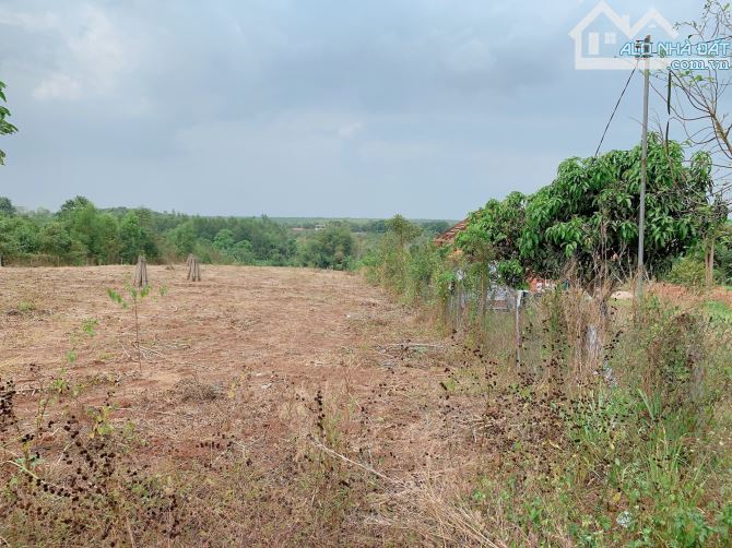 Bán khoảng 4 sào 3 (4280m2) đất Láng Lớn, huyện Châu Đức, BRVT. - 2