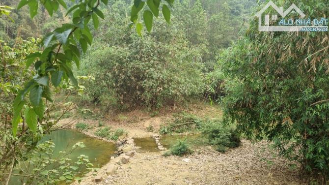 Cần bán 3,6ha đất RSX suối chảy quanh tại xã Cao Sơn, Huyện Lương Sơn, Hòa Bình. - 2