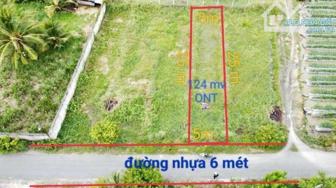 Bán Gấp Lô đất MT Nhựa Mỹ Bình Nhựt Chánh 5x25 Giá 1 tỷ 350tr thổ nền cao SHR NHẬN KÝ GỮI - 2