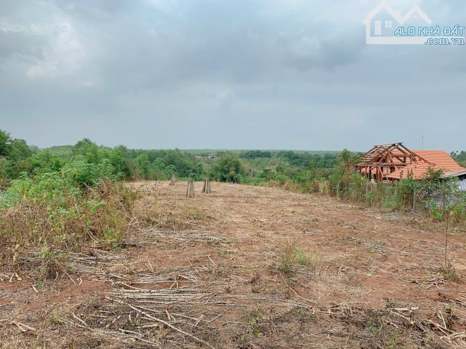 Bán khoảng 4 sào 3 (4280m2) đất Láng Lớn, huyện Châu Đức, BRVT. - 3
