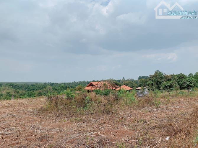 Bán khoảng 4 sào 3 (4280m2) đất Láng Lớn, huyện Châu Đức, BRVT. - 4