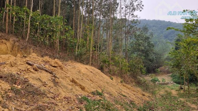 Cần bán 3,6ha đất RSX suối chảy quanh tại xã Cao Sơn, Huyện Lương Sơn, Hòa Bình. - 4