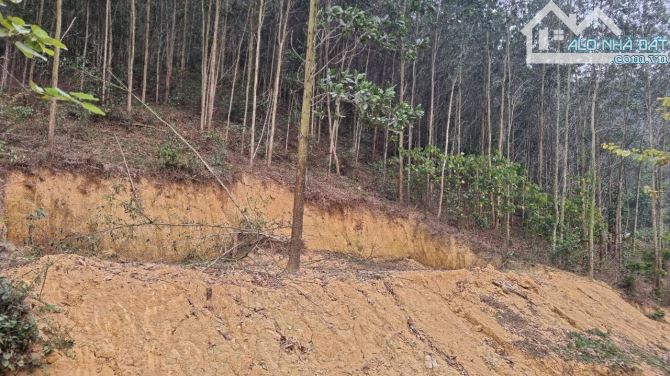 Cần bán 3,6ha đất RSX suối chảy quanh tại xã Cao Sơn, Huyện Lương Sơn, Hòa Bình. - 5